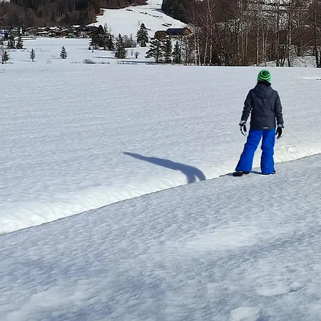 Guggenthaler Gipfelblick Apartament *