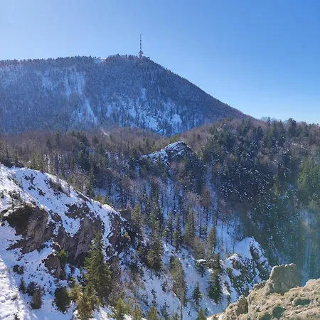 Guggenthaler Gipfelblick *