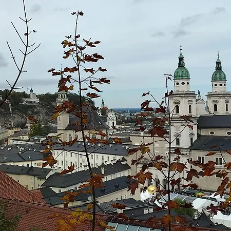 Guggenthaler Gipfelblick * Guggenthal