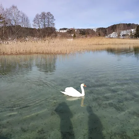 アパート Guggenthaler Gipfelblick *