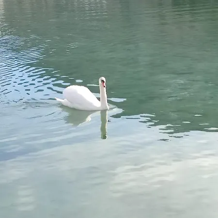 Guggenthaler Gipfelblick アパート