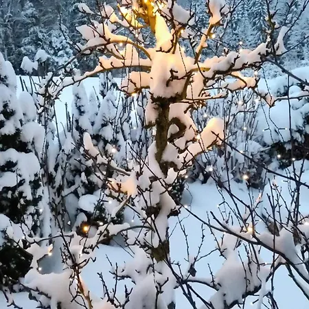 Guggenthaler Gipfelblick * Guggenthal