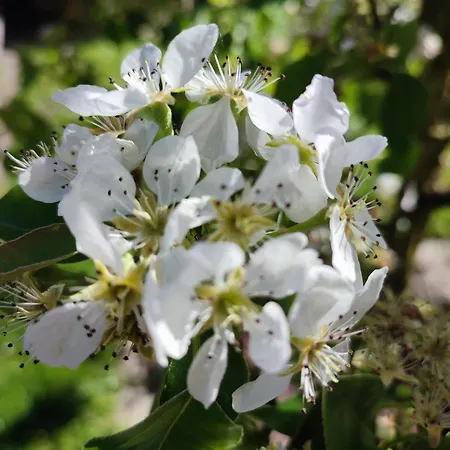 Guggenthaler Gipfelblick