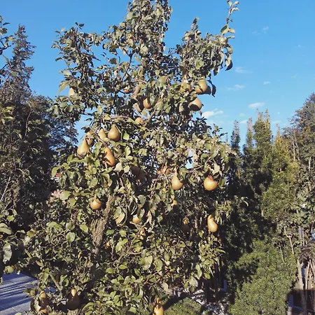 Guggenthaler Gipfelblick Apartament Guggenthal