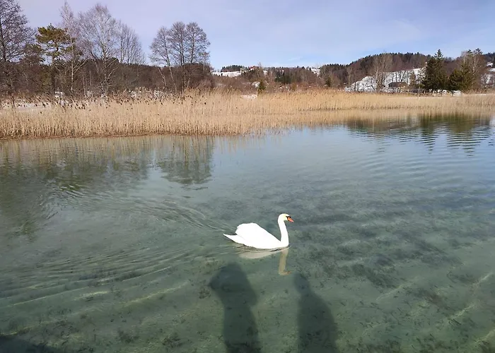 Apartamento Guggenthaler Gipfelblick *