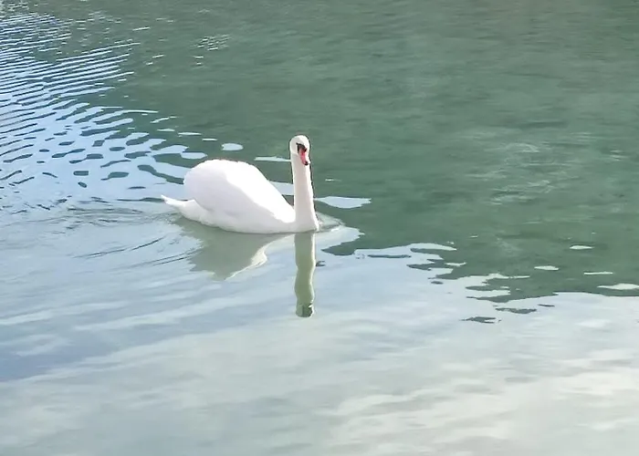 Guggenthaler Gipfelblick Apartamento