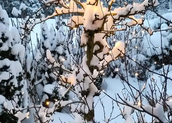 Guggenthaler Gipfelblick * Guggenthal