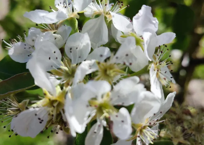 Guggenthaler Gipfelblick